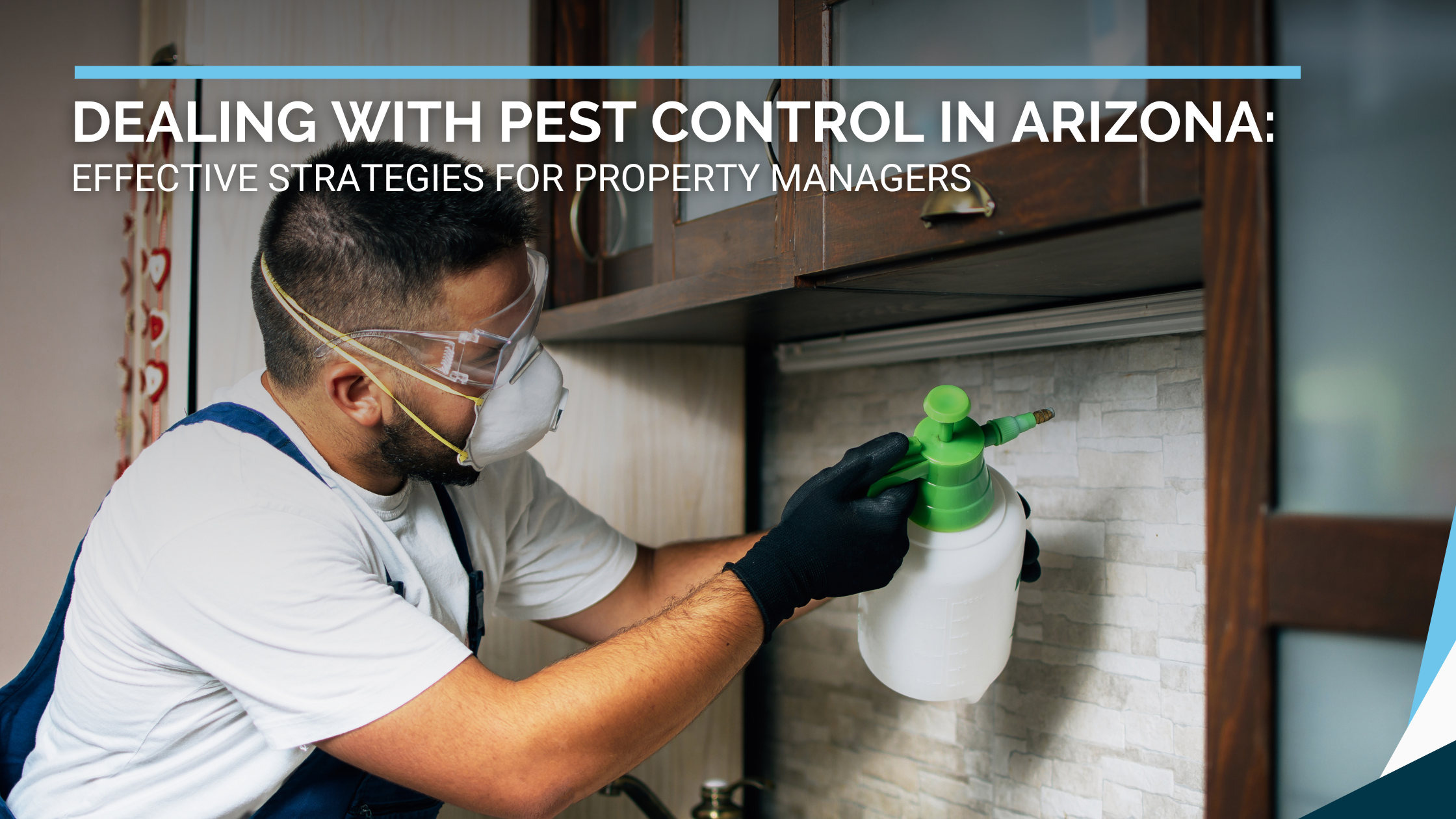 Dealing with Pest Control in Arizona: Effective Strategies for Property Managers